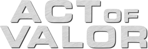 История о нелегких буднях элитной группы «морские котики», которым поручено вытащить из плена агентов ЦРУ. Выполняя задание, бойцы попутно уничтожают террористическую группу, в планы которой входила масштабная атака на США.