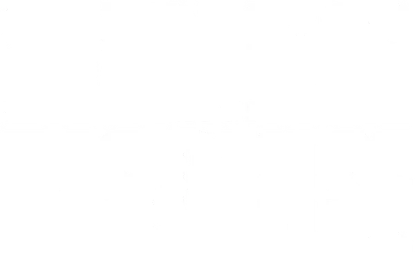 Spies in Disguise