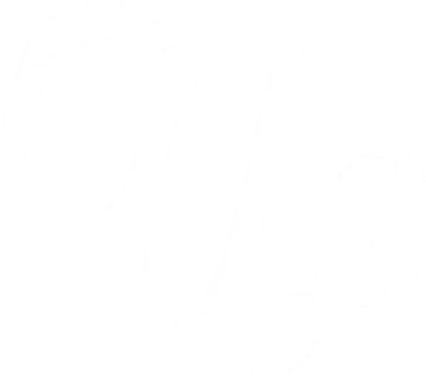 Будучи маленькой девочкой, Аделаида пережила травмирующее событие. В парке развлечений на побережье она отошла от родителей и забрела в зеркальный лабиринт, где встретила свою точную копию. Через много лет, уже с мужем и детьми, Аделаида приезжает в дом бабушки, который находится рядом с тем самым злосчастным парком, и с самого начала женщина чувствует себя не в своей тарелке. Муж считает, что в таком прекрасном месте нужно расслабляться, а не нервничать, но его мнение быстро меняется, когда перед домом появляются незнакомцы в красных комбинезонах с явно агрессивными намерениями.