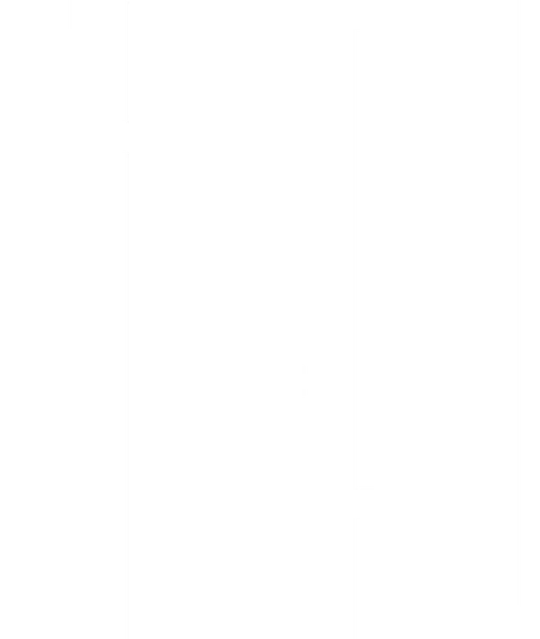 Головорез Черный бандит, сбежавший африканский раб Отта Бенга, индийский мудрец, итальянский революционер Луихи и натуралист Чарльз Дарвин - герои сказок голливудского каскадера Роя, получившего травму после неудачного трюка на мосту. В лос-анджелесском госпитале его фантазии слушает пятилетняя девочка Александрия. Но однажды Рой узнает, что возлюбленная предала его, он больше не хочет жить и мечтает покончить с собой. В этот момент к нему снова приходит Александрия. Запредельная сказка продолжается...