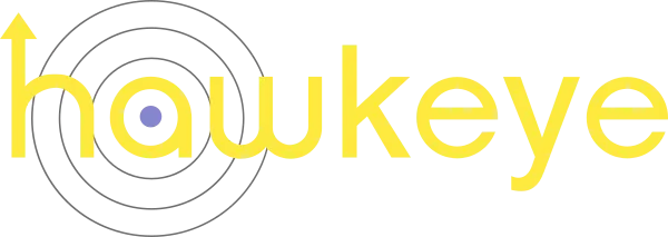 После того, как Мстителям удалось победить Таноса и вернуть половину жителей Галактики обратно, Клинт Бартон приезжает с детьми в Нью-Йорк, чтобы провести время вместе. Он уже готов отойти от дел и пожить спокойной жизнью, но призраки прошлого не хотят отпускать героя. К тому же у Клинта появляется молодая ученица Кейт Бишоп, которая не обладает суперспособностями, но которой необходимо научиться быть супергероиней. Бартон будет тренировать новую напарницу, чтобы сразиться со своими врагами из прошлого.