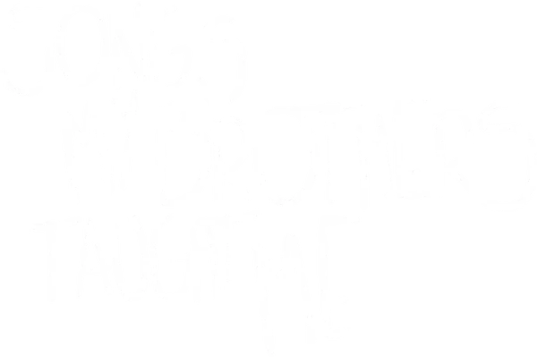 Songs My Brothers Taught Me
