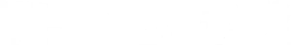 The Bear