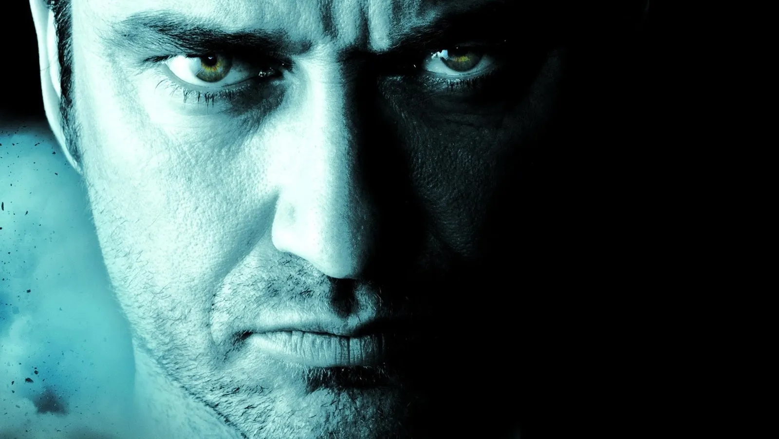 Законопослушный гражданин