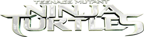 Город нуждается в героях. Тьма окутала Нью-Йорк в виде Шреддера и его зловещего Клана Футов, у которого имеется железный контроль над всеми, от полицейских до политиков. Будущее выглядит мрачным, пока из канализации не поднимается и не раскрывает своё предназначение четвёрка отверженных братьев — Черепашки-ниндзя. Черепашки должны работать вместе с бесстрашным репортёром Эйприл и её саркастическим оператором Верном Фенвиком, чтобы спасти город и разгадать дьявольский план Шреддера.