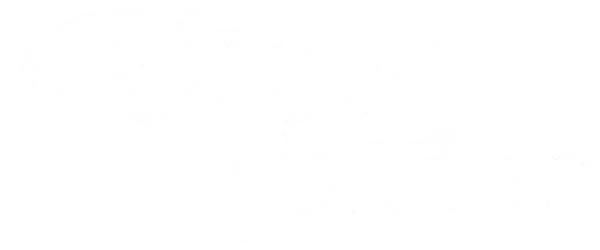 Эбби, начинающий дизайнер ювелирных украшений, возвращается в родную Бельгию, чтобы навестить своего дедушку. Она решает принять участие в алмазном фестивале, мечтая выиграть призовое место. Девушка знакомится с Александром Рэми, своим конкурентом, отец которого является давним соперником дедушки Эбби. Встреча с Эбби помогает ему заглянуть в себя и переосмыслить отношения с отцом, а девушка наконец понимает где на самом деле её дом.