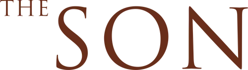 Нью-Йорк. Питер переживает напряженный период отношений с его новой партнершей Бет и их маленьким ребенком. Ситуация осложняется, когда появляется его бывшая жена с сыном-подростком Николасом. Тот встревожен, отстранен и зол, он месяцами прогуливает школу. Питер стремится быть хорошим отцом, пытаясь помочь своему сыну в обретении моментов семейного счастья. Но тяжесть состояния Николаса ставит семью на опасный курс...