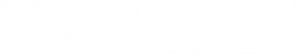 Network