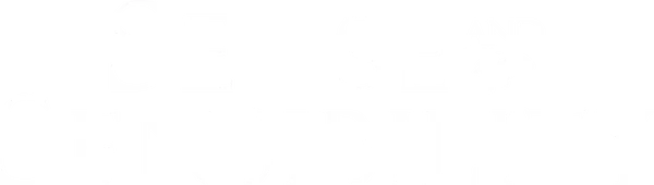 История жизни и любви двух сестер — чувственной Элинор и страстной Марианны, чье счастье и будущее омрачено смертью отца и потерей огромного состояния семьи. Это история-конфликт желаний и строгих правил буржуазного общества, жестоко осуждавшего любое проявление чувственных влечений и выносившее суровый приговор снобистского пуританства.