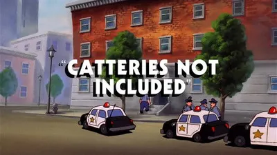 Catteries Not Included