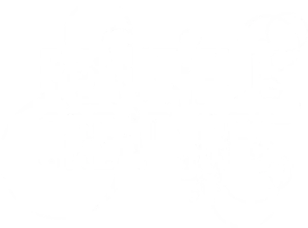 Beautiful Creatures