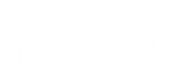 Geek Girl