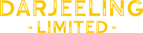 Три придурковатых братца, которые не разговаривали друг с другом целый год после смерти отца, оказываются в поезде, едущем через Индию. Здесь они оказались, вняв зову старшего из них воссоединиться в путешествии, которое должно помочь им понять и обрести себя, восстановив ослабшие семейные узы.  Впрочем, вскоре сие благое действо уходит с нужного курса: недоверчивые родственники начинают переругиваться и пытаться драться, в результате чего оказываются высаженными посреди пустыни. И, конечно, это далеко не все неприятности, которые ждут их, особенно если знать, что истинная цель путешествия, затеянного искателем духовного равновесия, несколько иная, нежели он рассказывал братьям.