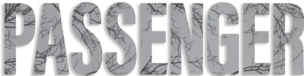 В вымышленном северном городке Чаддер Вейл бывший детектив полиции Рия Аджунва расследует серию странных и необъяснимых преступлений, которые заставляют горожан крутиться вокруг оси. Рия приехала в приходящий в упадок Чаддер Вейл пять лет назад и с тех пор ищет «одно большое преступление», вызов, который заставит ее снова почувствовать себя живой. Однажды ночью местная девушка Кэти Уэллс (Роуэн Робинсон) таинственно исчезает. Город едва успевает зафиксировать ее отсутствие, как она вновь появляется на следующий день, по-видимому, целая и невредимая. Горожане не задают лишних вопросов, и обычная жизнь возобновляется. Но для Рии, человека, относительно чуждого образу жизни в Чэддер-Вейл, все это не кажется правильным. По мере того как в городке начинают происходить странные события и все более шокирующие преступления, жители прибегают к недальновидным теориям и обвиняют во всем внешние факторы, такие как место добычи нефти и ее управляющий Джим Брэкнелл. Что же ждет дальше?