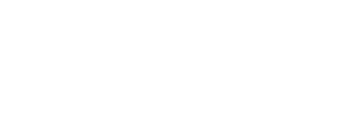 Частный разведчик сражается за сохранение демократии в мире, где постоянно царят разногласия.