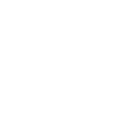 Головорез Черный бандит, сбежавший африканский раб Отта Бенга, индийский мудрец, итальянский революционер Луихи и натуралист Чарльз Дарвин - герои сказок голливудского каскадера Роя, получившего травму после неудачного трюка на мосту. В лос-анджелесском госпитале его фантазии слушает пятилетняя девочка Александрия. Но однажды Рой узнает, что возлюбленная предала его, он больше не хочет жить и мечтает покончить с собой. В этот момент к нему снова приходит Александрия. Запредельная сказка продолжается...