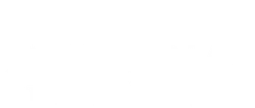 Маленькую прелестную девочку из бедной японской семьи отдают в услужение в дом гейш. С годами красавица расцветает и познает все таинства этой профессии. Самые влиятельные мужчины становятся пленниками знаменитой гейши по имени Сайюри, достигшей совершенства в своем искусстве.Но в сердце Сайюри теплится любовь к тому, над которым ее чары не властны. Тайну своей любовной страсти она доверяет лишь страницам дневника…