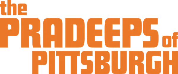 Семья Прадипов с тремя детьми решается на переезд из Индии в США. Вскоре они оказываются втянуты в сложные отношения с противоположной абсолютно во всех вопросах семьей по соседству.