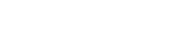 The Ark