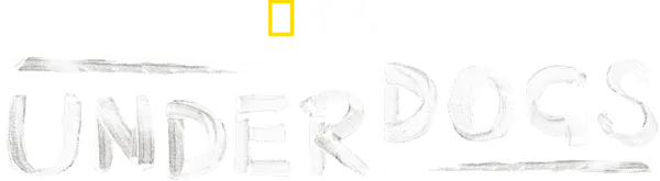 Сериал, премьера которого состоялась 15 июня 2025 позволит следить за героическими аутсайдерами мира природы, начиная с их скрытых талантов и заканчивая смелыми решениями в вопросах гигиены, неприглядными ритуалами ухаживания, хитроумными методами маскировки и родительскими навыками.