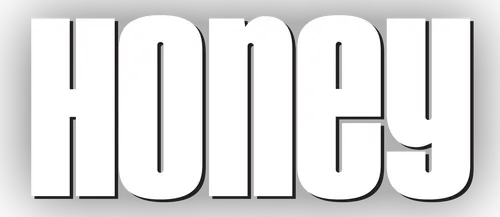 Молодая танцовщица Хани — успешный хореограф видеоклипов. Однажды девушка получает двусмысленное предложение, которое тем не менее может сделать ее невероятно популярной в мире шоу-бизнеса…  Но будущая звезда, преодолев искушение, решает осуществить мечту всей своей жизни: открыть танцевальную студию для подростков…