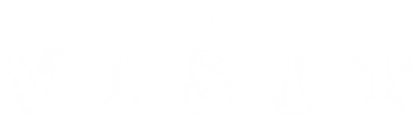 The Visit