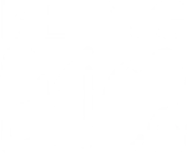 Being Erica