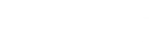 1890 год. Английская аристократка  Корнелия Локк отправляется на Запад, чтобы отомстить человеку, которого она считает виновным в смерти её сына. Пересечь суровый ландшафт Дикого Запада ей поможет Илай Уипп - бывший кавалерийский разведчик из племени пауни. Преодолевая всевозможные препятствия, герои неожиданно узнают, что их объединяет общее прошлое.