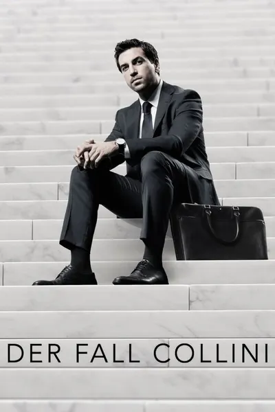 Дело Коллини