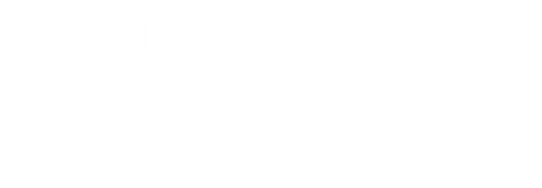 Киллер из Нового Орлеана объединяется с молодым полицейским из Нью-Йорка, расследуя дело, которое выводит их с мрачных задворок Нового Орлеана в светлые коридоры правительственных зданий в Вашингтоне. Необычный дуэт формируется в результате двух жестоких убийств. Герои убирают всех, кто стоит у них на пути, и готовы пожертвовать всем, чтобы отомстить.