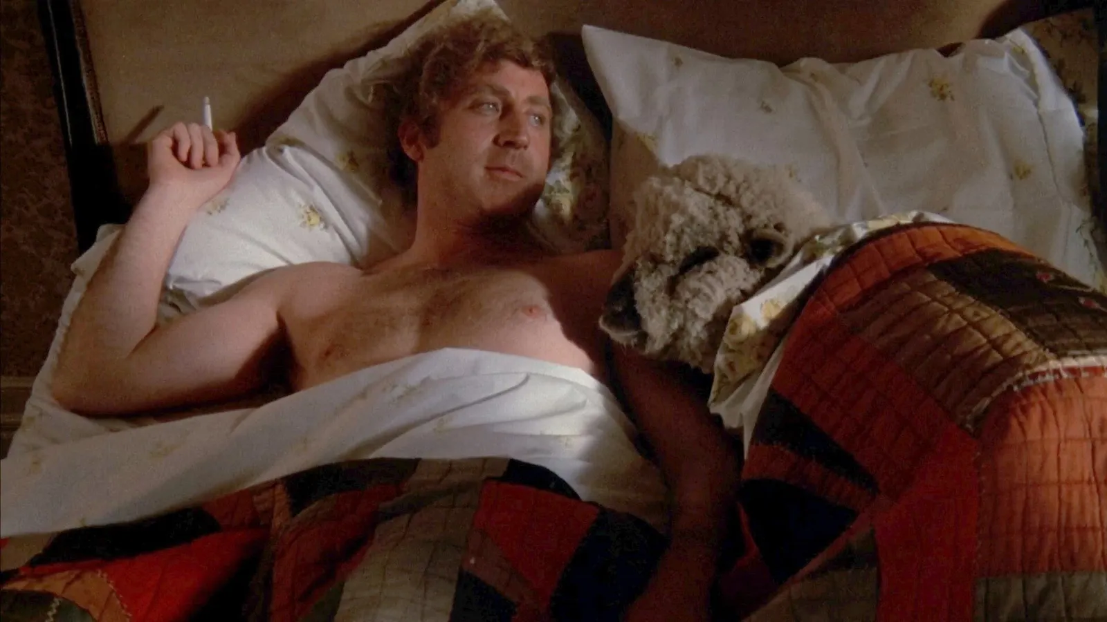 Всё, что вы хотели знать о сексе, но боялись спросить