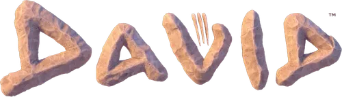 Когда великан Голиаф восстаёт, чтобы терроризировать народ, молодой пастух, вооружённый лишь пращой, несколькими камнями и непоколебимой верой, выходит вперёд. Преследуемый жаждой власти и движимый целью, его путь испытывает пределы верности, любви и мужества, кульминацией чего становится битва не только за корону, но и за душу царства.