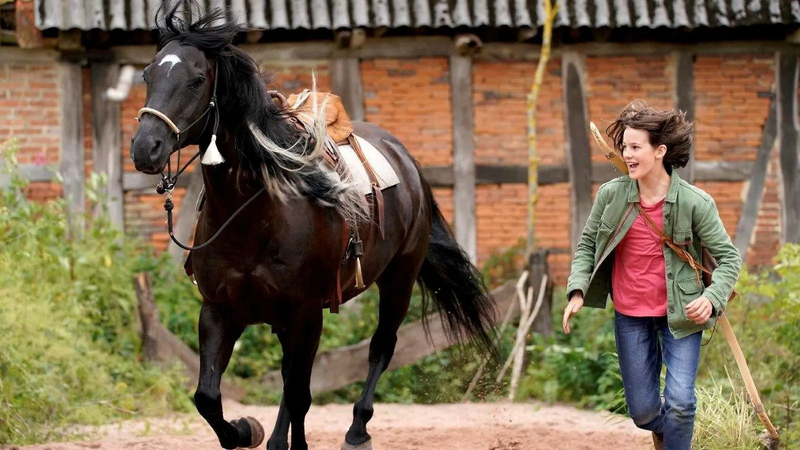 Восточный ветер. Великий ураган