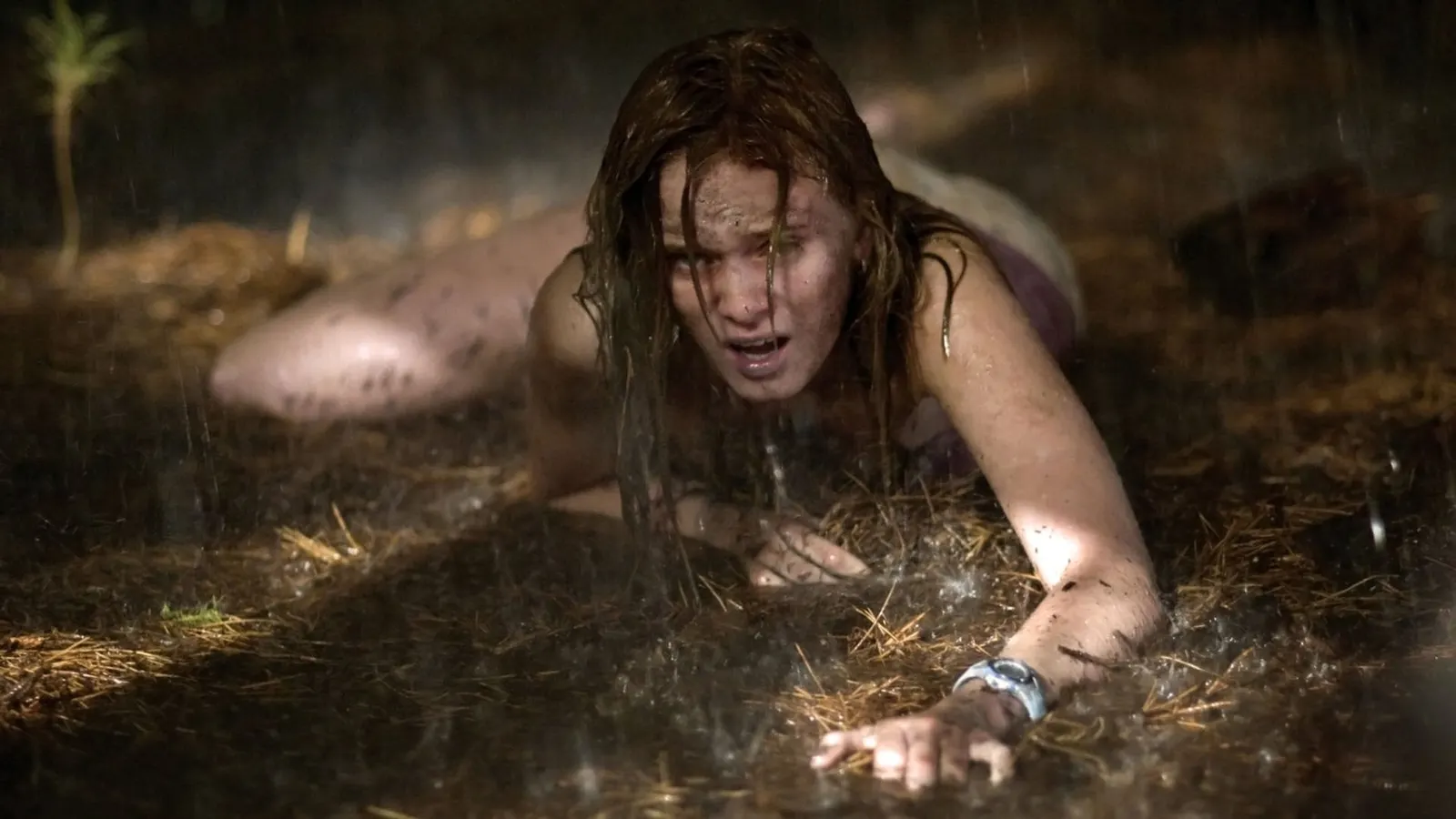 Последний дом слева