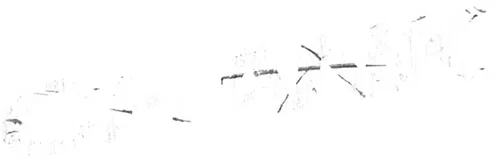 Наемный убийца Чев узнает, что недоброжелатели отравили его редким китайским ядом и отрава начнет действовать немедленно, как только пульс перестанет биться ниже определенной отметки. И теперь Чеву нужно успеть сделать все свои дела, попробовать раздобыть противоядие и отомстить своим отравителям в прямом смысле слова впопыхах — стараясь создавать вокруг себя как можно более напряженную обстановку и не расслабляться ни на секунду.