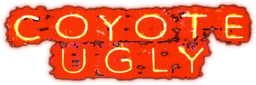 Вайолет всю жизнь прожила на окраине и мечтала стать певицей. Но ее никогда не покидал страх перед освещенной сценой и шумной толпой. Наконец, мечта привела ее в Нью-Йорк, где Вайолет устроилась на работу официанткой в знаменитый бар «Гадкий Койот», где правят бал только красивые и решительные. В обществе неотразимых красавиц, чьи манеры пугают ханжей и привлекают мужчин, Вайолет должна преодолеть природную застенчивость и услышать собственный голос.