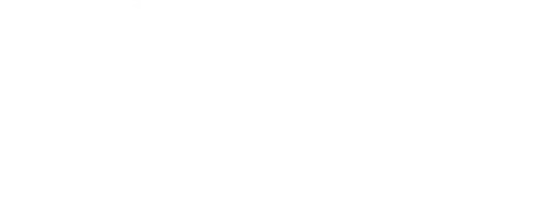 Знакомство с родителями подружки не предвещает молодому фотографу из Нью-Йорка ничего хорошего, ведь семья девушки принадлежит к элитному обществу и живет в уединенном загородном доме. Если бы он только знал истинную причину своего приглашения, то немедленно бросился бы прочь…