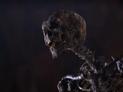 Them Bones, Them Bones