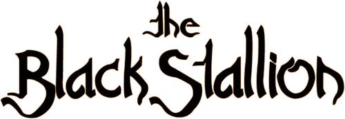 Отправившись в морское путешествие со своим отцом, Алек и не подозревал, что судьба приготовила ему совсем не детское испытание. Корабль, на котором они путешествовали, помимо пассажиров перевозил великолепного, черного, как южная ночь, арабского скакуна. Внезапно корабль терпит крушение, выжить после которого удается только Алеку и жеребцу. Они попадают на необитаемый остров, где, испытав на себе все прелести жизни вдали от цивилизации, они становятся неразлучными друзьями. Когда же Алека находит поисковая команда, он забирает своего друга домой, где они начинают готовиться к участию в самых престижных скачках против лучших скакунов планеты.