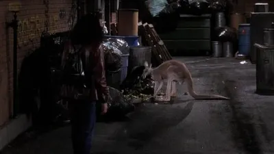 Don't Ask, Don't Tell