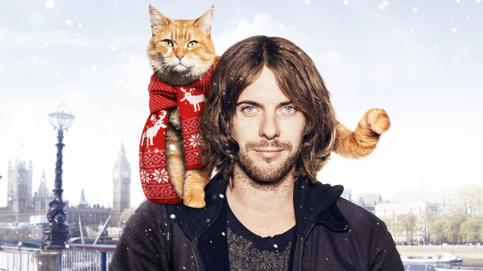 Уличный кот по кличке Боб