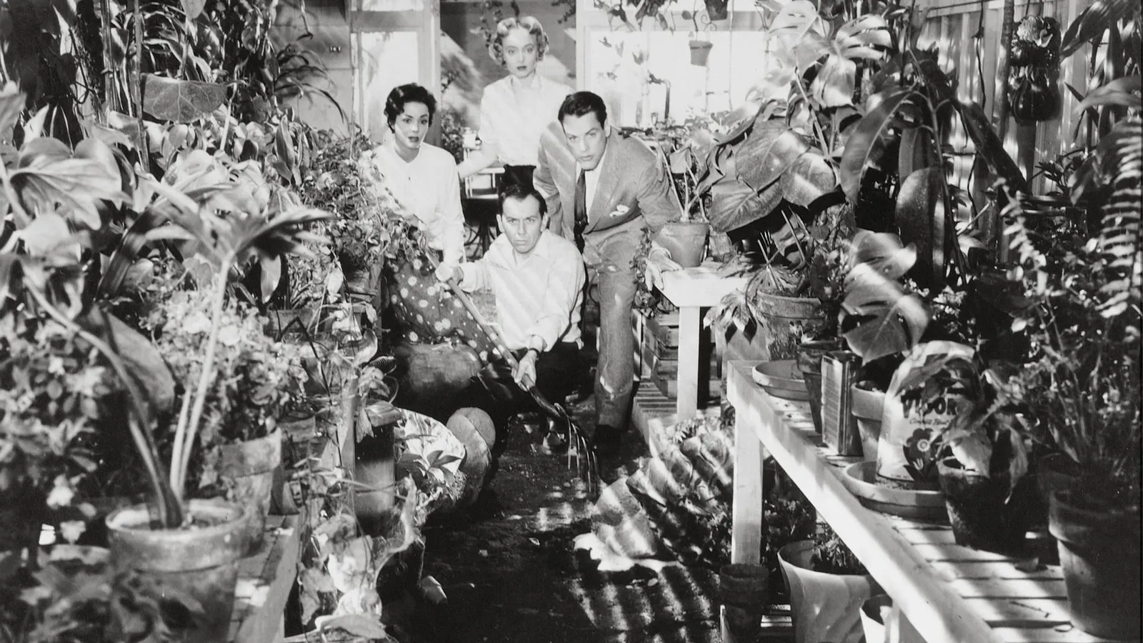 Вторжение похитителей тел