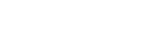 В основе сюжета — реальная история, случившаяся в Японии в 20-х годах и потрясшая весь мир. Однажды, возвращаясь с работы, профессор колледжа нашел на вокзале симпатичного щенка породы акита-ину. Профессор и Хатико стали верными друзьями. Каждый день пес провожал и встречал профессора на вокзале. И даже потеря хозяина не остановила пса в его надежде, что друг вернется. После смерти Хатико и в силу широкого резонанса, который получила эта история, на станции Шибуя в Токио, на том месте, где он в течение 9 лет каждый день в 5 часов вечера приходил и ждал хозяина, было решено воздвигнуть бронзовый памятник в 1934г. в его честь. Сегодня памятник Хатико это – дань уважения преданности и верности, которой характеризуется эта порода.