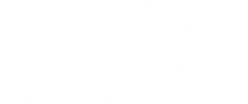 Он начал карьеру в торговой фирме, но был уволен. Тогда он решил, что хочет стать учителем, но не мог найти постоянную работу. Затем он учился, чтобы стать священником, но провалил экзамены. У него не удавалось ничего, за что бы он ни брался, пока не начал рисовать эскизы.  Фильм о жизни и творчестве Винсента Ван Гога, основанный на его письмах к своему младшему брату Теодору.