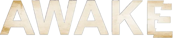 После автомобильной катастрофы в сознание приходит детектив по имени Майкл Бриттен. В катастрофе кроме него самого принимала участие супруга Ханна и его сын Рекс. Его оповещают о том, что жена погибла, а сыну выжить удалось. Проснувшись следующим утром, Майклу становится понятно, что факты перевернулись. Дабы сохранить двух своих близких людей, детектив должен существовать в двух различных реальностях, с разными жизненными проблемами и такими же разными коллегами.