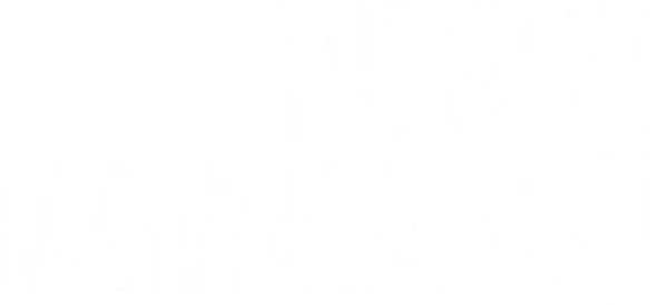 An offbeat romantic comedy about a silver-painted street performer and the soft spoken zoo worker who falls for him.