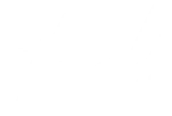 The Wilds